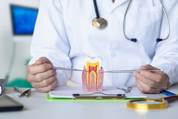 Best Holiday Emergency Dentist in Redwood City, CA